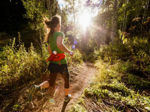 Run Dungog - Pubs and Clubs