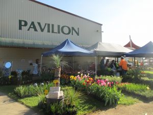 Gippsland Garden and Home Expo-Drouin Lions Club - Pubs and Clubs